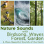 Nature Sounds - Tropical Rainforest at Dawn 6