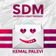 Kemal Palevi - Selingkuh Direct Message (SDM)