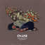 Cause - Ode II