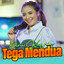 Dini Kurnia - Tega Mendua