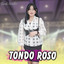 Denik Armila - Tondo Roso
