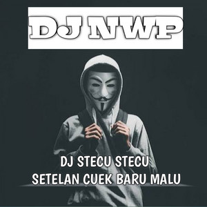 DJ NWP - Dj Stecu Stecu Setelan Cuek baru Malu