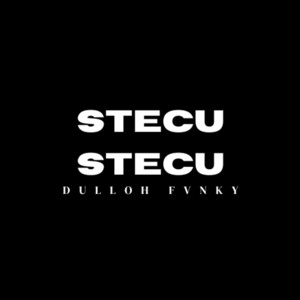 Dulloh Fvnky - Stecu Stecu