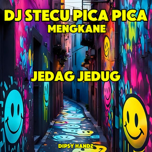 DIPSY HANDZ - DJ STECU PICA PICA MENGKANE - JEDAG JEDUG