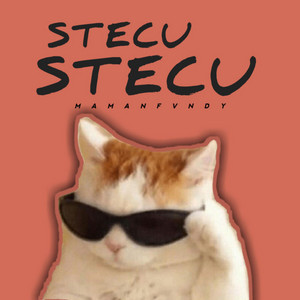 Maman Fvndy - Stecu Stecu