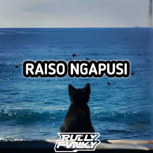 Rully Fvnky rmx - Raiso Ngapusi
