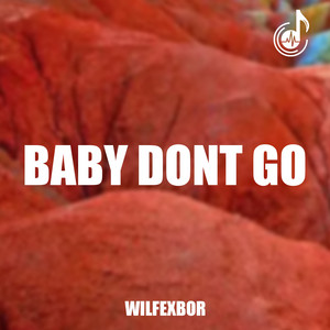 Wilfexbor - Baby Dont Go