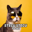 WN RMX - DJ STECU STECU