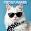 DJ RICH - KICAU MANIA