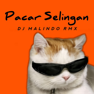 Dj Malindo Rmx - Pacar Selingan