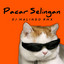 Dj Malindo Rmx - Pacar Selingan