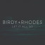 Birdy, RHODES - Let It All Go