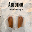 ABIDINé - Tanahsurga