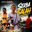 New Gvme, ZB DTG, District Gvme - Serba Salah