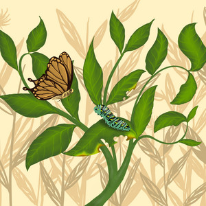 Gapero Creative - Nyandhing