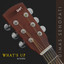 Dimas Senopati - What's Up - Acoustic