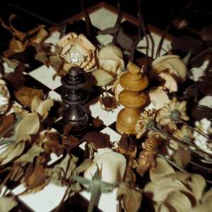 Rafi Sudirman - Pengagum