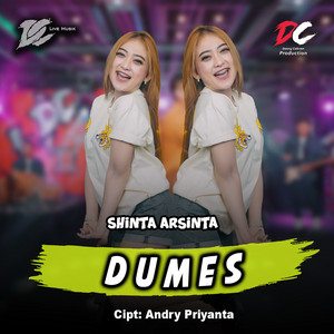 Shinta Arsinta - Dumes