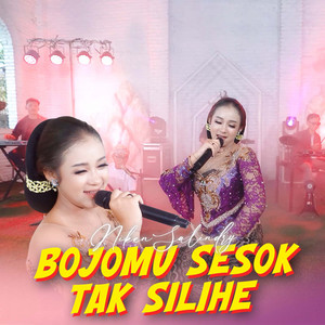 Niken Salindry - Bojomu Sesok Tak Silihe