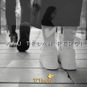 D'FIREFLY - Kau Telah Pergi - Remix