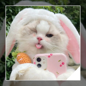 Apip Rmx - DJ AKIMILAKUO X ELSA BALONTE