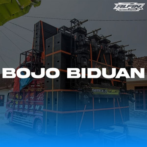 Alfin Revolution - Bojo Biduan