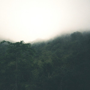 Satrio Pamungkas - November