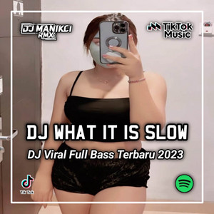 DJ Manikci Team - DJ WHAT IT IS SLOW BEAT