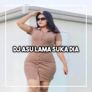 DJ Rapi Rmx - DJ ASU LAMA SUKA DIA SLOW