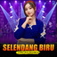 cantika davinca - Selendang Biru