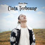 Zinidin Zidan - Cinta Terbuang