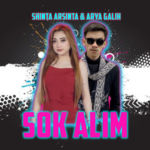 Shinta Arsinta, Arya Galih, Djavamica - Sok Alim - Remix