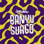 NDX A.K.A. - Banyu Surgo