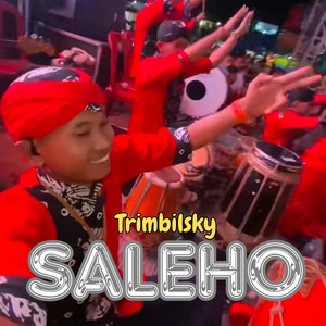 Trimbil sky - Saleho