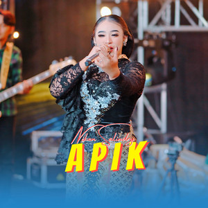 Niken Salindry - Apik
