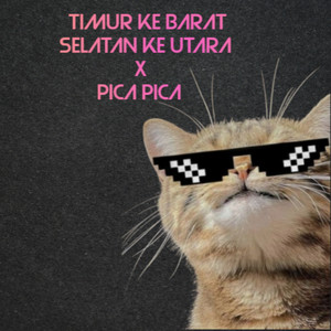 Choki Fvnky - Timur Ke Barat Selatan Ke Utara X Pica Pica