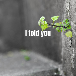 OH ONG SENG - I told you