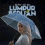DJ DONI REMIX, Cut Rani Auliza - Lumpur Dan Berlian - Remix