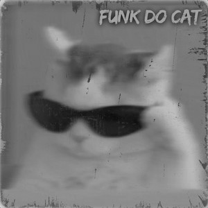 Sofnando Erizar - FUNK DO CAT