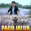 Abay official - Pacu Jalur