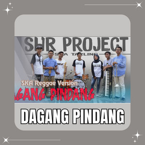 SHR Project Official - Dagang Pindang