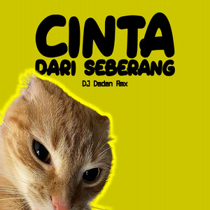 DJ Dadan Rmx - Cinta Dari Seberang