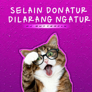 DJ BUTTERFLY - DJ SELAIN DONATUR DILARANG NGATUR MENGKANE