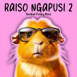 Tombel Fvnky - Raiso Ngapusi 2