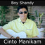 Boy Shandy - Cinto Manikam