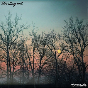 downside - Neck Deep- December (Downside Cover)