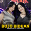Arlida Putri, Shinta Gisul - Bojo Biduan