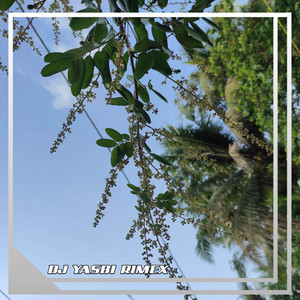 DJ YASBI RIMEX - DJ SUKU MANJA