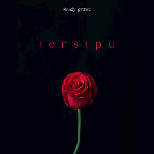 Steady Groove - Tersipu