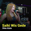 Dina Aisia - Siki Wis Gede